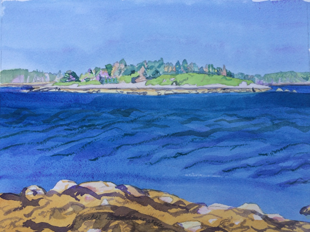 Little Island off Martin Point
