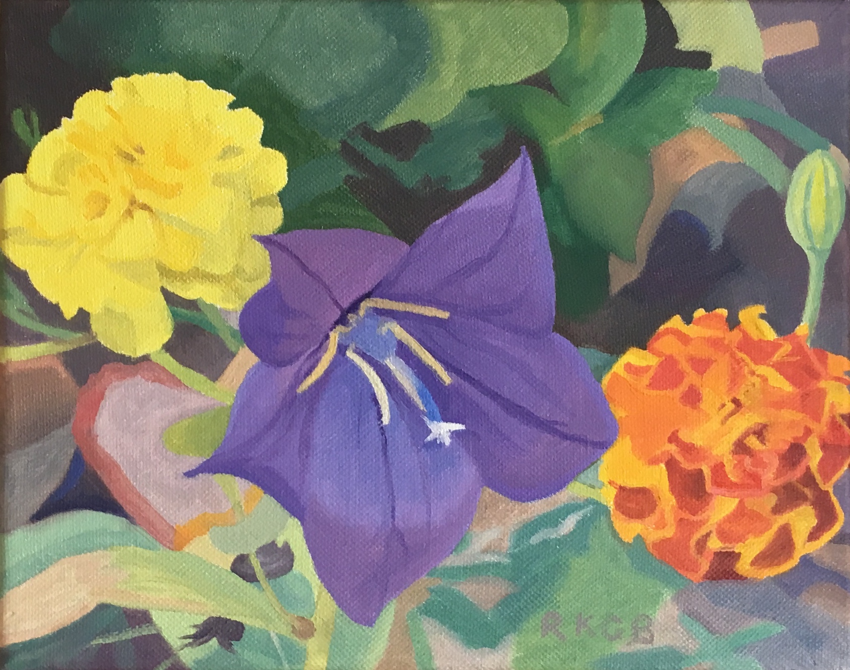 Lovebirds (Blue Balloon Flower and Marigolds)